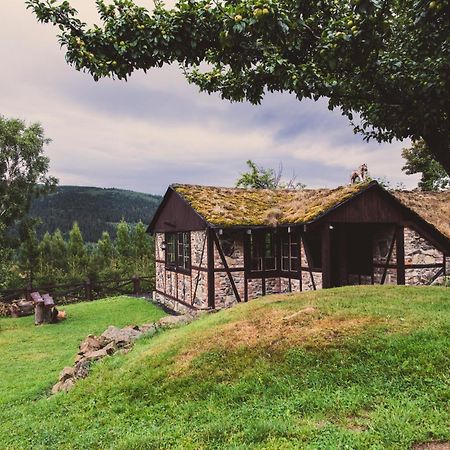 Willa Z Gwarantowanym Widokiem Na Gory Aleksander Panorama Świeradów-Zdrój 外观 照片